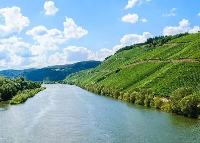 Apartamento Winedream Brauneberg